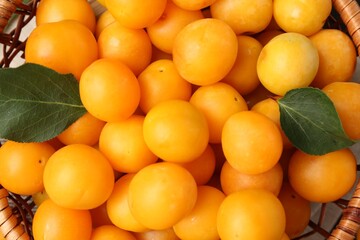 Ripe yellow cherry plums and leaves in basket on table, top view