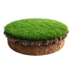 A 3D render of a perfectly circular, elevated patch of vibrant green grass and brown dirt, isolated on a clean, light gray background.

