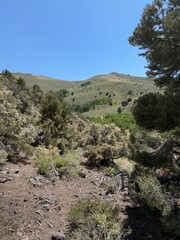 Sierra Nevada Mountain Views, BLM landscape,