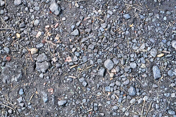 A dirt path floor surface in a wood with stones and twigs in close up