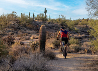 Man Riding Mountain Bike On Sonoran Desert Trail In North Scottsdale Arizona 