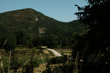 Serene green valley with distant winding road and mountain slopes in Stara Planina, Serbia