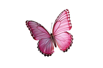 Obraz premium pink butterfly against a white void, offering a clear presentation with simple visual qualities.