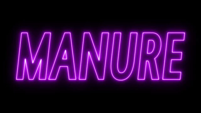 Animated glowing flickering neon inscription manure. neon manure text animation