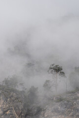 Coniferous trees and rocky cliffs emerge from a thick fog, creating a mysterious and evocative mountain landscape
