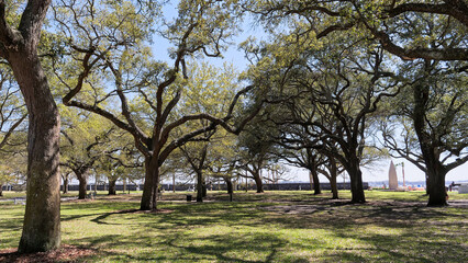 Scenic view of the historic White Point Garden, also known as Battery Park, in Charleston, South Carolina, USA