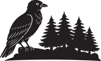 Black Silhouette of Raven on Rock with Pine Trees bird