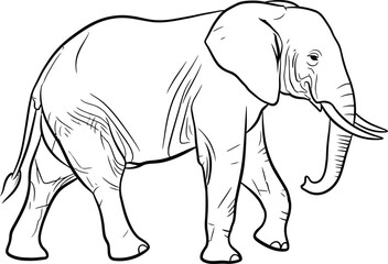 Obraz premium Walking elephant, line drawing of a large mammal on white