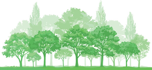 Fototapeta premium Diverse forest scene with varying shades of green trees and foliage creating a layered, natural landscape