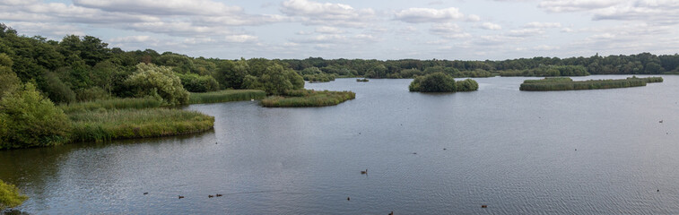 Fleet Pond Local Nature Reserve