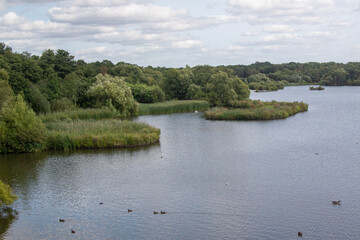Fleet Pond Local Nature Reserve