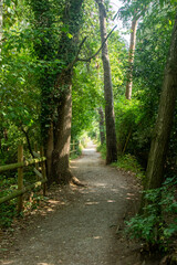 Fleet Pond Local Nature Reserve