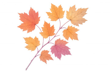 Maple leaves branch with autumn colors isolated on transparent background, perfect for fall designs