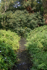 Fleet Pond Local Nature Reserve