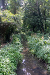 Fleet Pond Local Nature Reserve