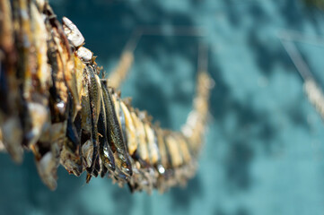 dried fish