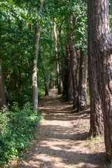 Fleet Pond Local Nature Reserve