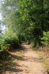 Fleet Pond Local Nature Reserve