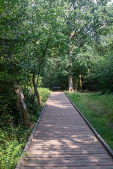 Obraz premium Fleet Pond Local Nature Reserve