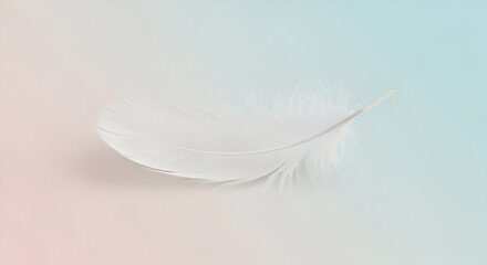 Obraz premium White feather on light background 