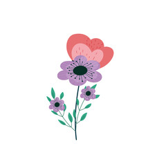 vector illustration of a flower