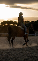 Backlit silhouette of a young female horseback rider training on a sandy track at sunset with the...