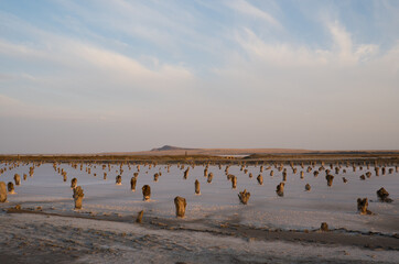 Horizontal landscape with salt pillars of Lake Baskunchak and Mount Bogdo in the background at...