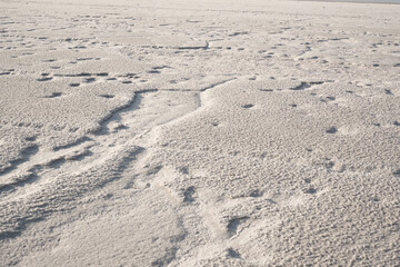 Close-up of naturally crystallized salt on the ground at the shore of a salt lake