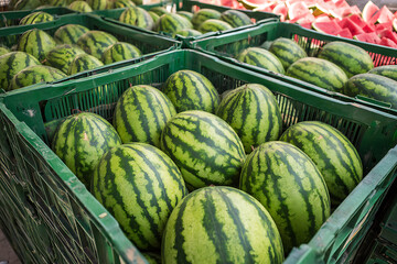 fresh vegetables at the market