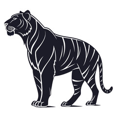 tiger vector illustration