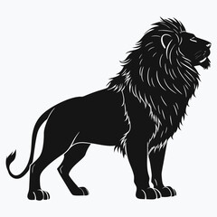lion vector illustration