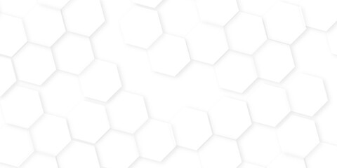 Abstract background with hexagon, modern abstract vector polygonal pattern. Futuristic honeycomb mosaic white background,white and gray hexagon honeycomb geometric copy space.