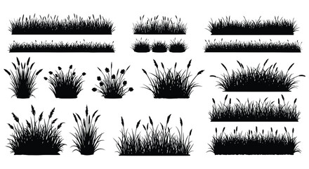 Various black silhouettes of grass and plants on a white background