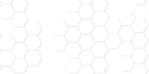 Fototapeta premium Abstract background with hexagon, modern abstract vector polygonal pattern. Futuristic honeycomb mosaic white background,white and gray hexagon honeycomb geometric copy space.