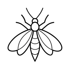 Firefly Insect Outline On White Background