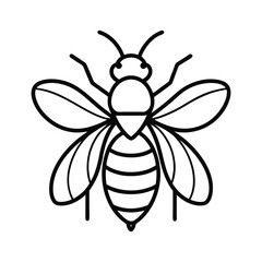 Honey Bee Outline On White Background