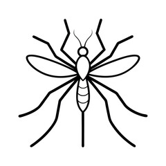 Mosquito Insect Outline On White Background