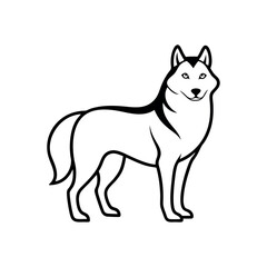 Siberian Husky Dog Outline On White Background