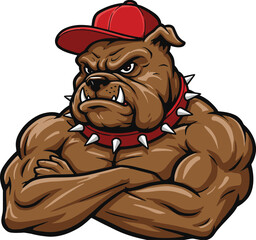 Muscular bulldog mascot illustration, tough cartoon dog with red cap and spiked collar, strong aggressive bulldog character design, vector