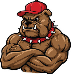 Muscular bulldog mascot illustration, tough cartoon dog with red cap and spiked collar, strong aggressive bulldog character design, vector