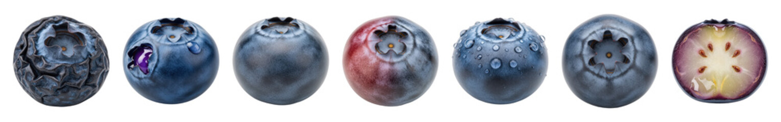 Obraz premium Blueberry set including whole, withered, fresh, wet, red, and halved stages isolated. Healthy food and fruit collection.