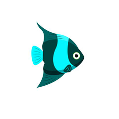 PNG  fish 