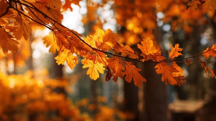 orange autumn leaves in the park, Generative AI,
