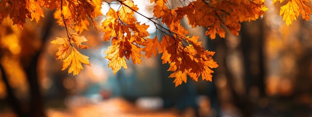 orange autumn leaves in the park, Generative AI,