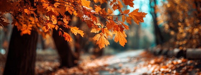 orange autumn leaves in the park, Generative AI,