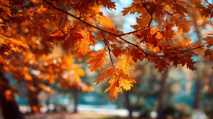 orange autumn leaves in the park, Generative AI,