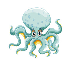 Png octopus cartoon  fish