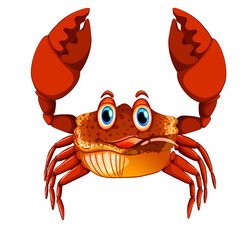 PNG cartoon illustration of a crab