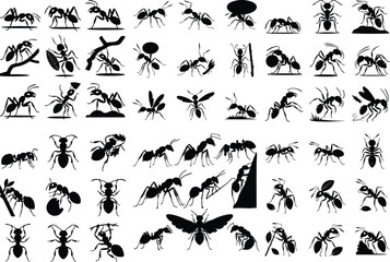 Ant Silhouette Icon Set – Creative Insect Designs Ant Icon Vector Collection – Minimal and Stylish Bugs