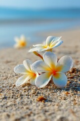 Plumeria flowers on the beach on the sand. selective focus. Generative AI,